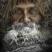 Aleksandr's profile picture