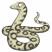 Snake's Profile Picture