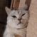 User Alex's profile picture