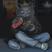 Anton's profile picture